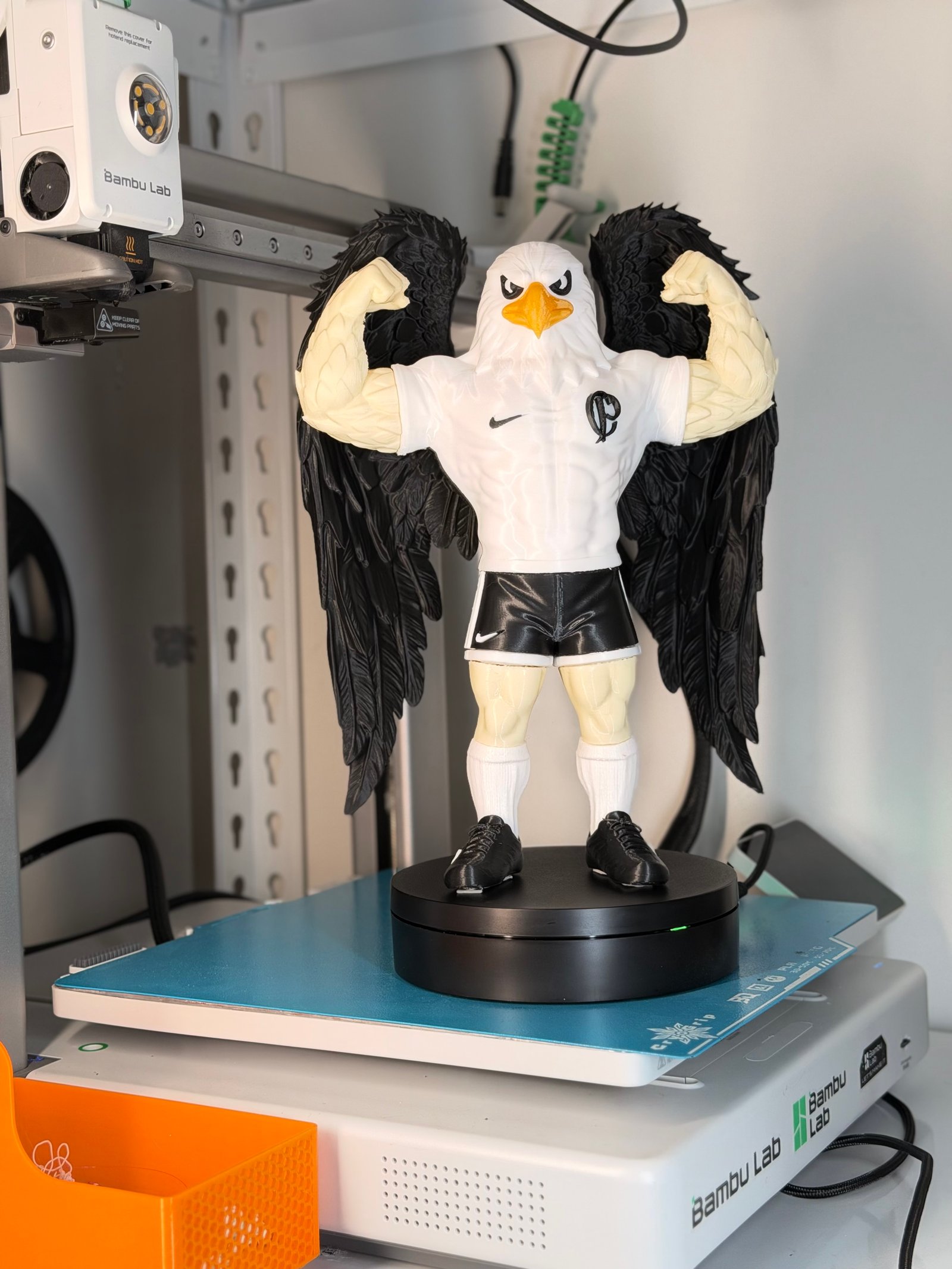Gaviao Da Fiel